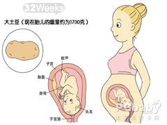孕妇怀孕32周_华夏婴童网