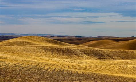 Careers & Volunteers – Latah Credit Union