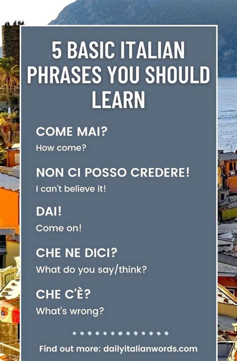Common Italian Phrases 的图像结果