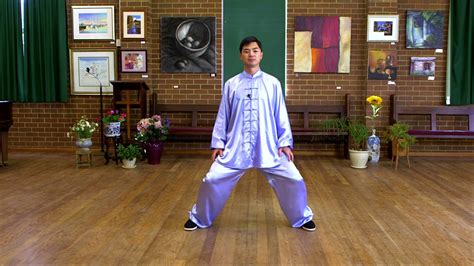 Tai Chi for Beginners Module 2 的图像结果