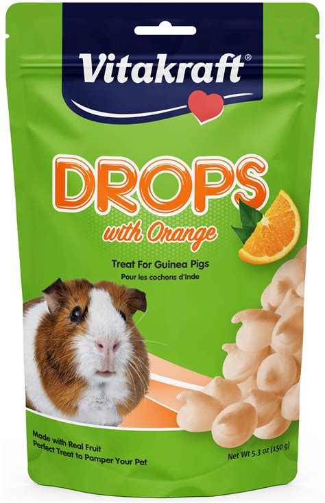Best Guinea Pig Treats: Top 10 Healthy Options For Your Furry Friend ...
