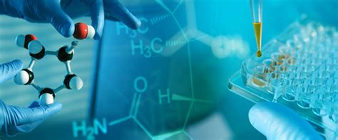 pure.naturals.life | what we do | services