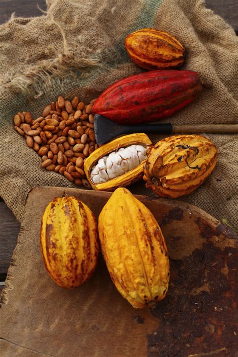 Image result for Cocoa API