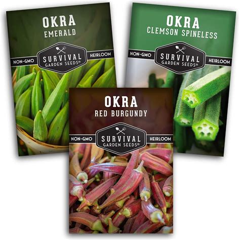 Okra Seed Collection for Planting – 3 Packets – Grow Clemson Spineless ...