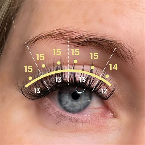 wispy hybrid how to lash map guideline hybrid lash set c curl C Curl ...