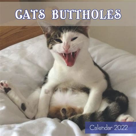 Buy GAG GIFT: Cats Buttholes 2022 : Funny Gag Gift For Women, Men ...