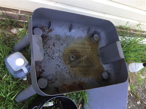 Basement Worm Farm 的图像结果