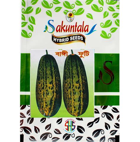 Sakuntala Hybrid Seeds Bangi Footi Seeds Fresh Foot Kakri Seeds High ...