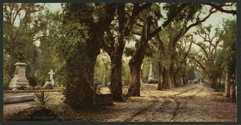 Bonaventure Cemetery