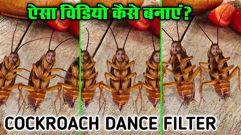 Cockroach Dance Challenge 的图像结果