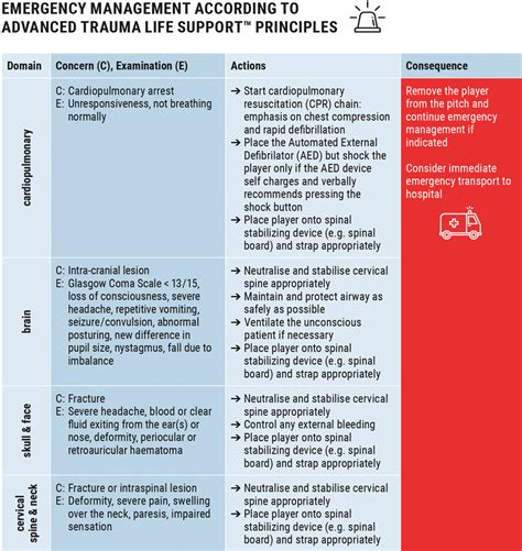 Advanced Trauma Life Support Algorithm 的图像结果