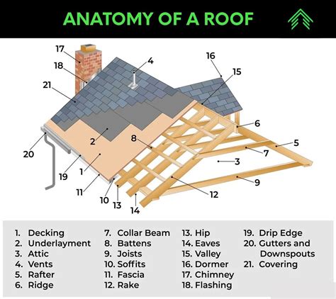 Roofing Anatomy