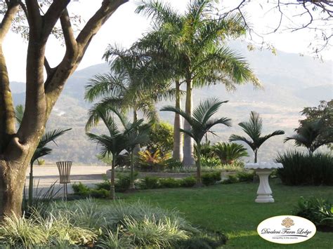 The Best Last Minute Hotels in Matsapha 2026 - Tripadvisor