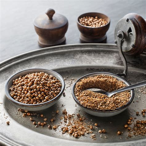 The Essence of Coriander Powder in Indian Cuisine – Angadi of Spices