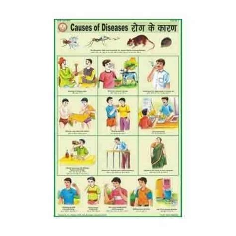 Human Diseases Charts - Deficiency Diseases Charts Distributor ...