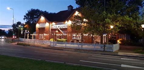 Good Restaurant - Reviews, Photos - The Acorn - Tripadvisor