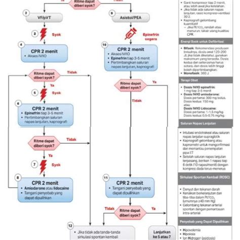 Image result for ACLS Code Blue Algorithm