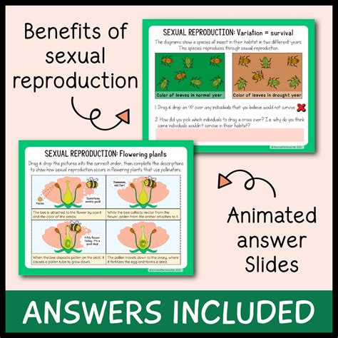 Sexual and Asexual Reproduction Google Slides - Emmatheteachie