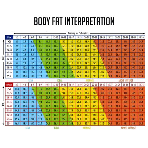 How To Measure Your Body Fat Percentage! Best Tools To Use