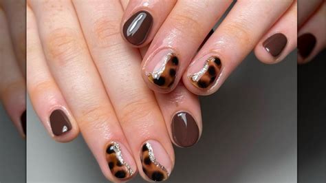 Image result for Tortoise Shell Manicure