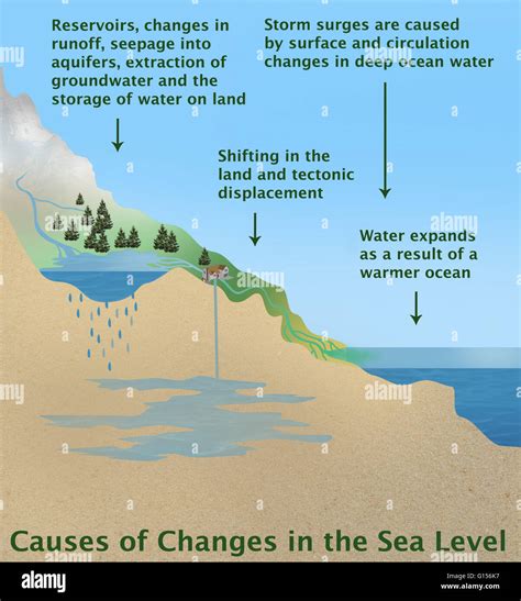 Illustration showing the various causes of changes in sea level. Represented at the far left ...
