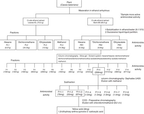 Continuous Extraction Method 的图像结果