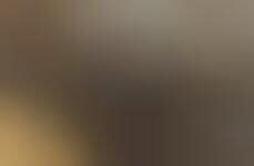 100 Modern Lighting Fixtures