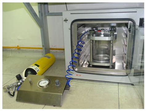 Cell Culture in a Hyperbaric Chamber: A Research Model to Study the ...