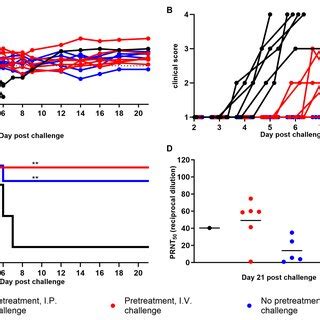 Image result for Intraperitoneal Injection of BALB/c Mice
