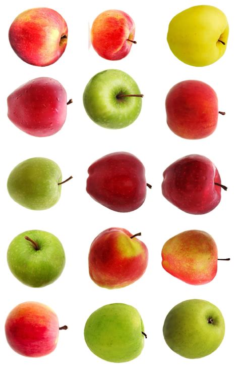 Cooking Apple Types 的图像结果