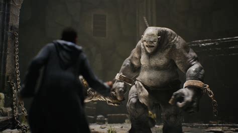 Image result for hogwarts legacy trolls