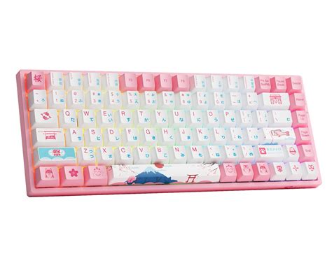Buy Akko 3084B RGB Mechanical Gaming Keyboard, Multi Modes (BT5.0/2 ...
