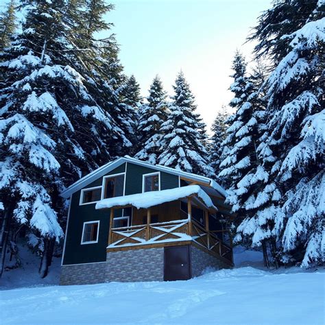 BASKONUS YAYLASI (2025) All You Need to Know BEFORE You Go (with Photos ...