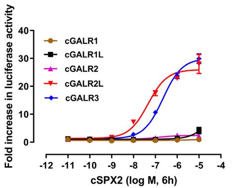 Spexin2 Is a Novel Food Regulator in Gallus gallus