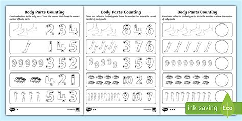 Body Parts Count and Write Worksheet