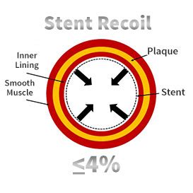 Everolimus Eluting Coronary Stent Delivery System