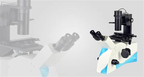 Inverted Microscope 的图像结果