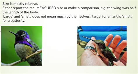 Image result for Collect Data in Biology Examples