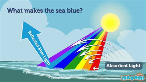 Why is the Sea Blue