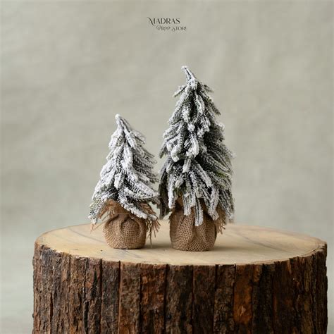 Frozen Theme – Madras Prop Store