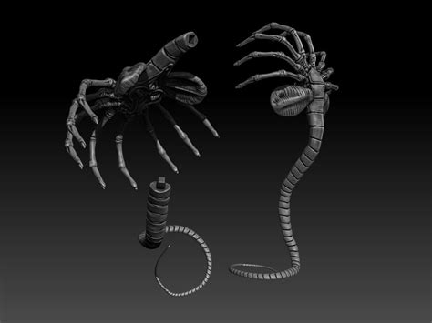 Image result for Alien Egg Morphing