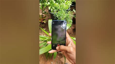 iPhone 12 Mini Camera Test 的图像结果