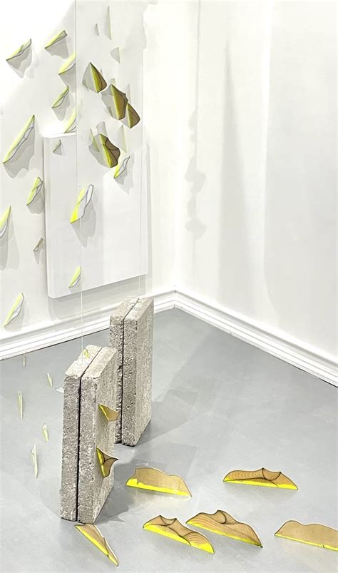 Reflection Transformation 的图像结果