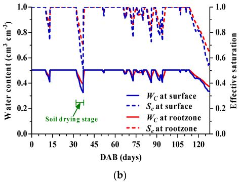 Modeling of Soil Water Regime and Water Balance in a Transplanted Rice ...