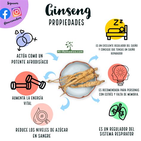 GINSENG (Rojo/Blanco): Propiedades, beneficios y origen