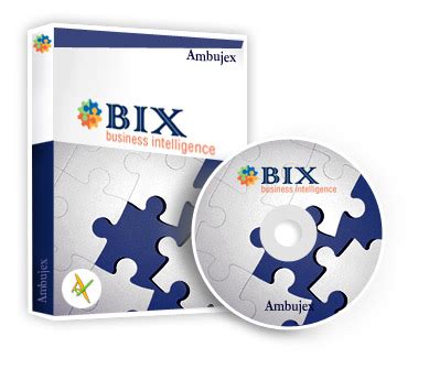 Image result for Bix Connection