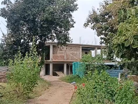 Former PWD engineer's 100-acre farmhouse that 'yielded' 17-ton honey ...