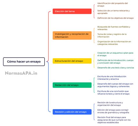 Partes Del Ensayo Escrito | Estructura Del Ensayo Ejemplos – AUQQB