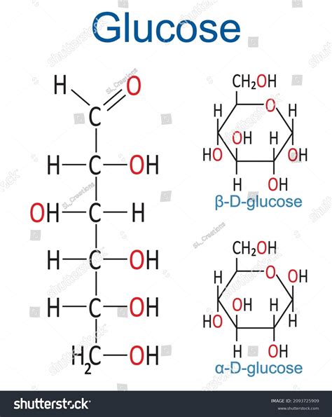 Alpha Glucose Model