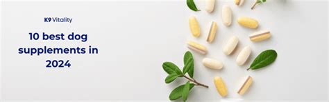 Top 10 Dog Supplements for 2024 Reviewed – K9 Vitality